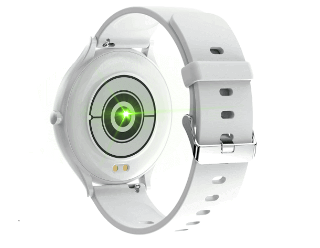 QW13 Smartwatch 