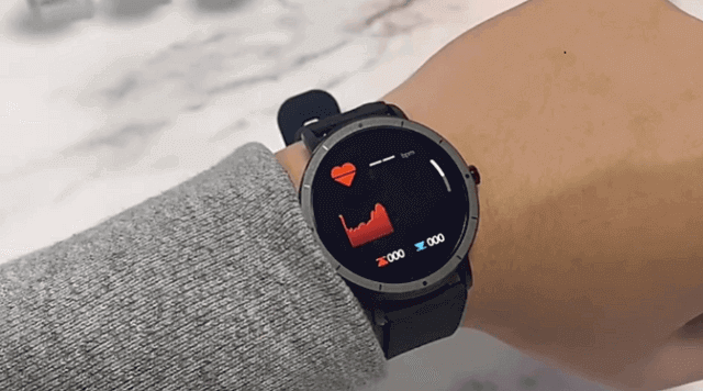 HW21 SmartWatch Features