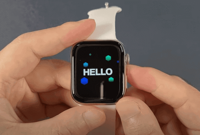 PL6 PRO SmartWatch Design