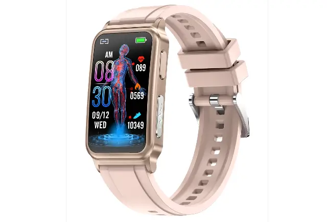 Rollme Band 6 features